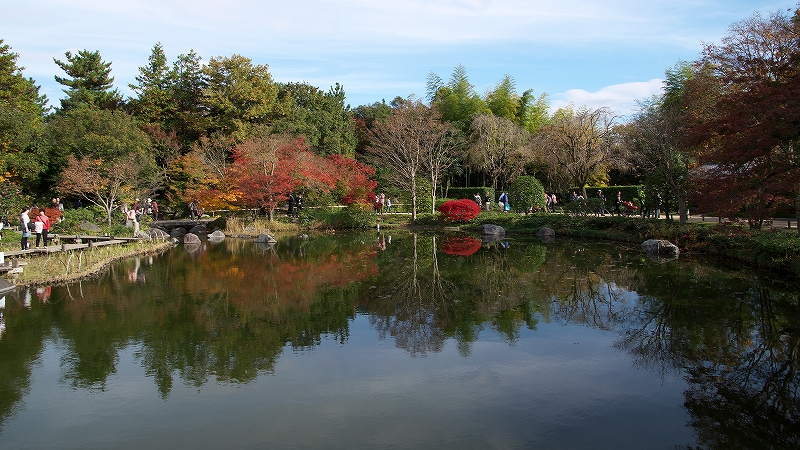 国営昭和記念公園